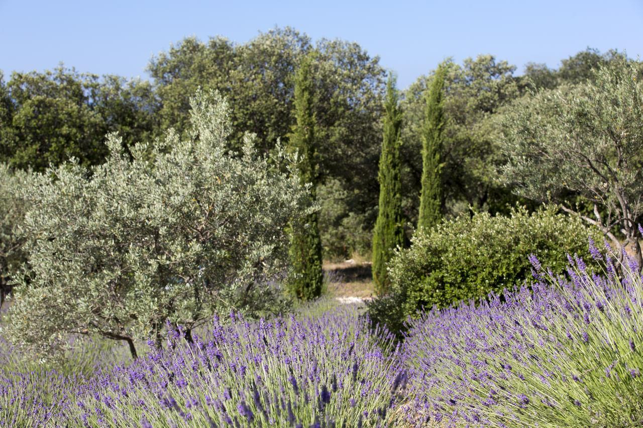 La Cle Des Champs, Boutique Hotel & Spa - Le Mas De Garrigon Roussillon en Isere المظهر الخارجي الصورة